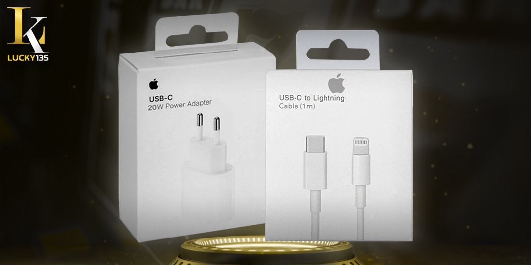Charger + Adapter (APPLE)